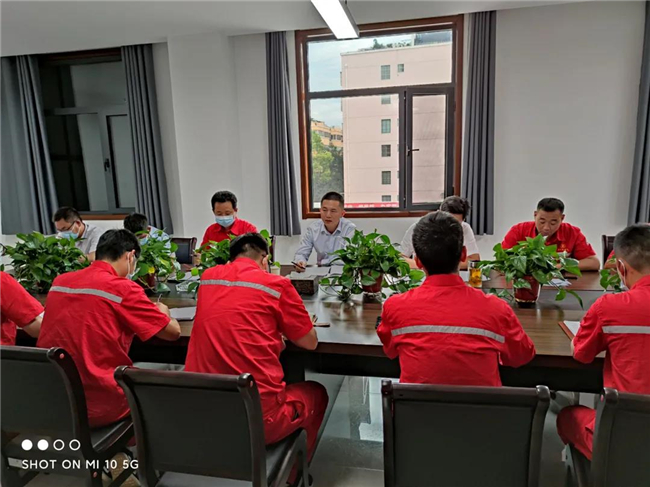 1624237956416080.jpg 7.jpg