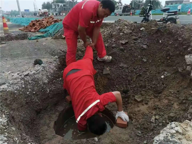 1627287376274376.jpg 4.jpg