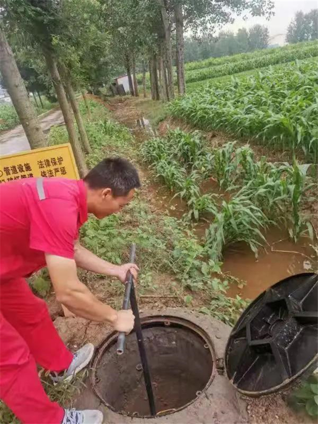 1627287834321818.jpg 15.jpg