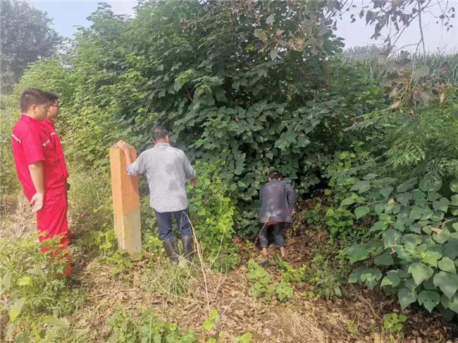 1630894749291298.jpg 1.jpg