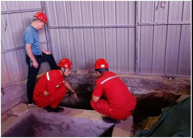 1632560491225376.jpg 3.jpg