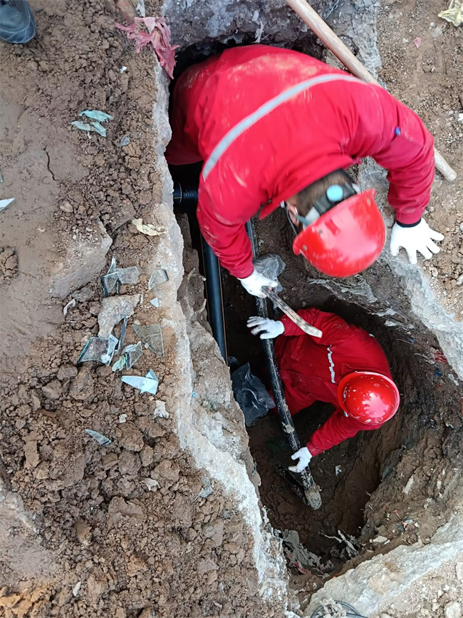 1674005114122301.jpg psc (15).jpg