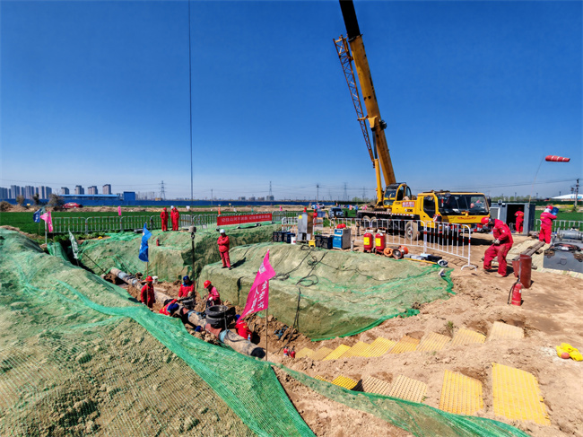 1744601791899568.jpg 6.jpg