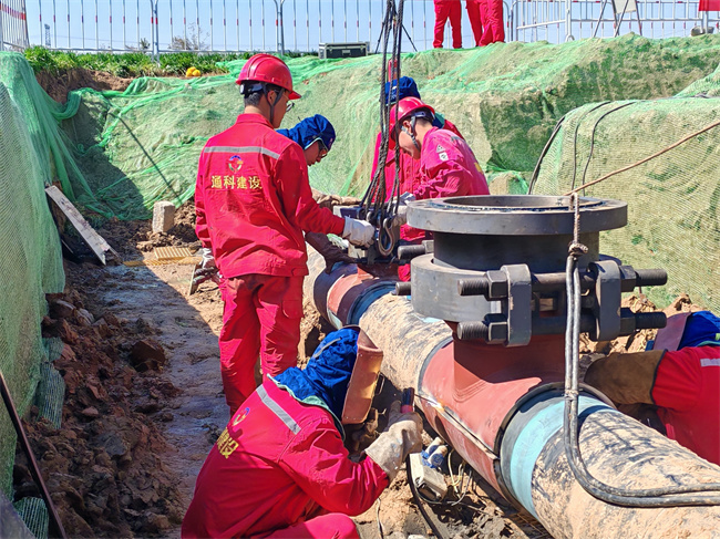 1744617961368487.jpg 1.jpg