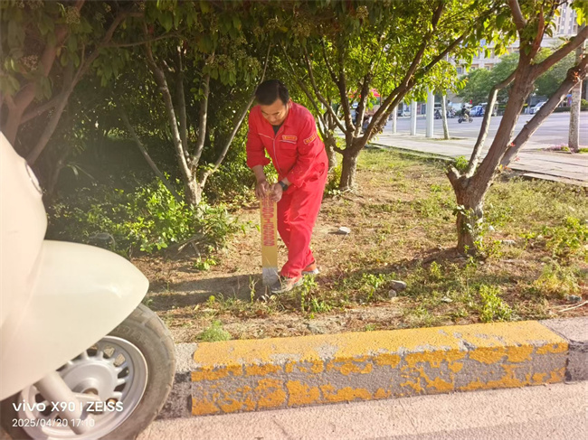 1745288629345990.jpg mtxx06.jpg