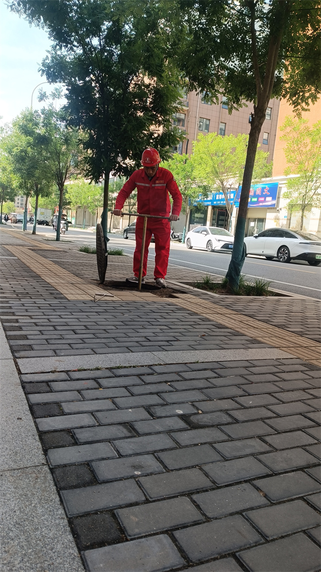 1747707549969322.jpg 微信圖片_20250513143830.jpg